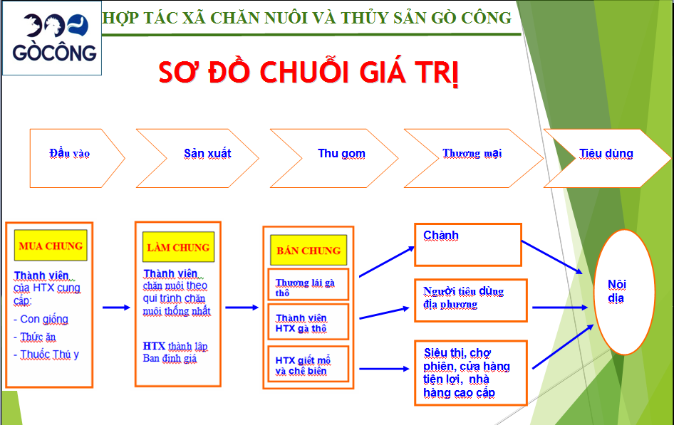 Chuỗi giá trị gà