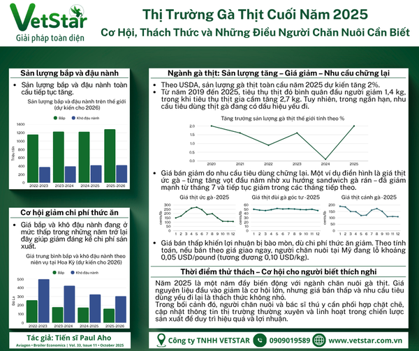 Thị trường gà